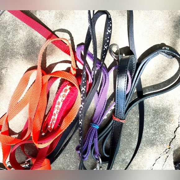 Pet accessories-select 4/$28 with discounted shipping. Build your own package! - Picture 5 of 16